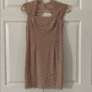 Adrianna Papell Lace Blush Dress Sz 2P
